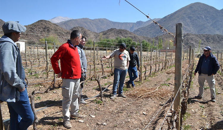 Consolidan la educación técnico profesional de estudiantes de enología y viticultura en Cafayate Fotografía Consolidan la educación técnico profesional de estudiantes de enología y viticultura en Cafayate