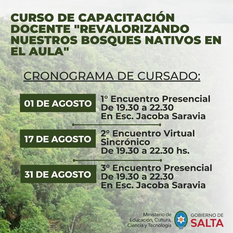 Capacitación docente sobre bosques nativos Imagen Capacitación docente sobre bosques nativos
