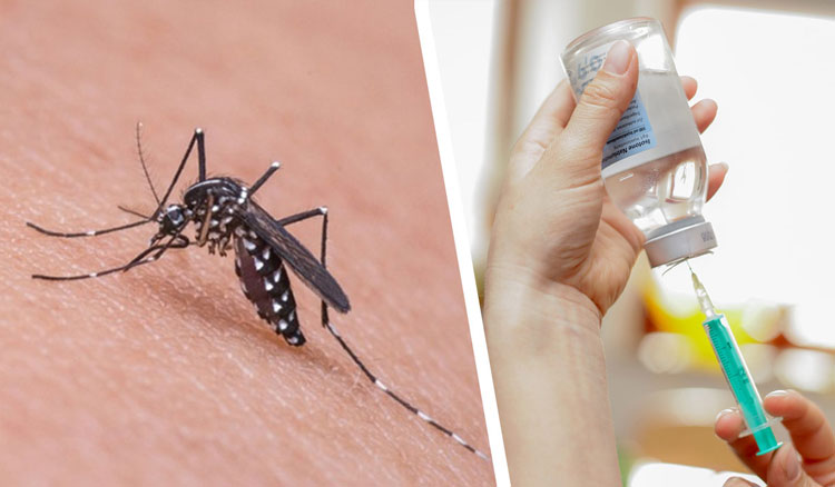 Se aplicará la vacuna contra en dengue a docentes de Capital Fotografía: Se aplicará la vacuna contra en dengue a docentes de Capital