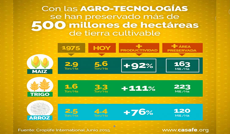 Educación brinda capacitaciones sobre producción agropecuaria Educación brinda capacitaciones sobre producción agropecuaria
